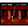 Battletoads & Double Dragon for NES