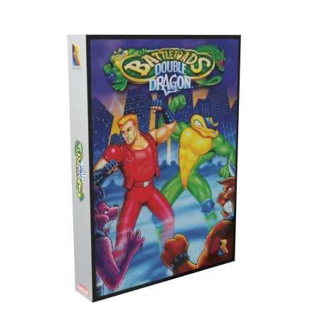 Battletoads & Double Dragon for NES