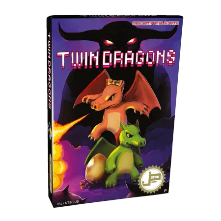 Twin Dragons (NES)