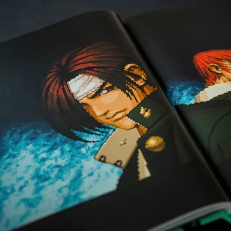 THE KING OF FIGHTERS: The Ultimate History : Bitmap Books: : Books