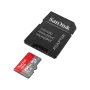 SanDisk Ultra MicroSDHC 256GB with SD adapter