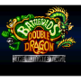 Battletoads & Double Dragon SNES Collector's Edition