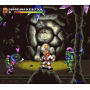 Stone Protectors Spiel für MegaDrive/Genesis