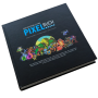 Das inoffizielle GBA Pixelbuch (German)