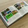 Das inoffizielle GBA Pixelbuch - Pixelkunst entdecken