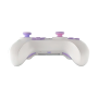 Anbernic RG P01 Funk-Controller in Aktion