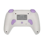 Anbernic RG P01 Funk-Controller in Aktion