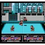 River City Fighting Legend für NES