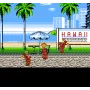 River City Basketball (NES) - RetroBit Europe