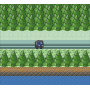 Pine Creek (GameBoy Color) Adventure Game