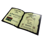 Year 2031 (GameBoy) - Game Brewery
