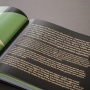 Leaps + Bounds: a Visual Guide to Nine Console Generations (Englisch) - Bitmap Books