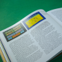 A Tale of Two Halves: The History Of Football Video Games (Captain's Edition) - Bitmap Books