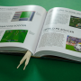 A Tale of Two Halves: The History Of Football Video Games (Captain's Edition) - Bitmap Books