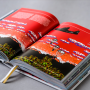 NES/Famicom: A Visual Compendium Cover