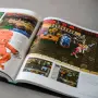 Das inoffizielle SNES-Pixelbuch Cover
