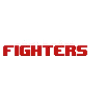 Retro Fighters