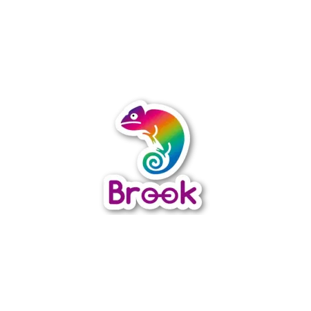 Brook Adapters: Universal Controllers